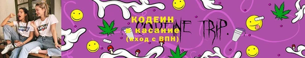 ГАЛЛЮЦИНОГЕННЫЕ ГРИБЫ Верея